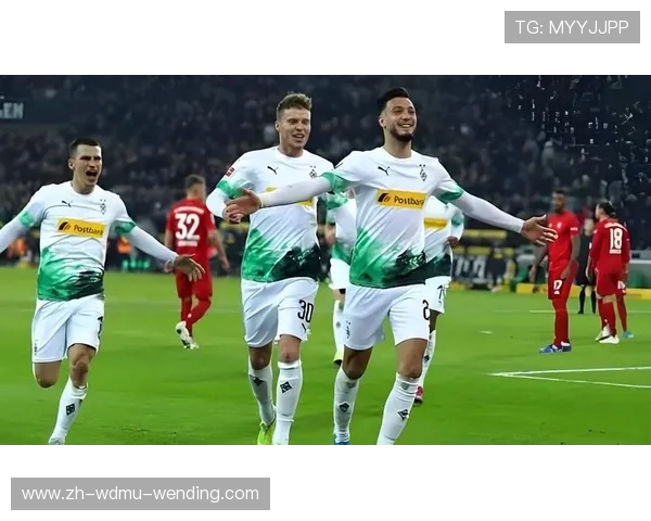 德甲球队的命运怎么样：德甲球队赛季命运分析与各队前景