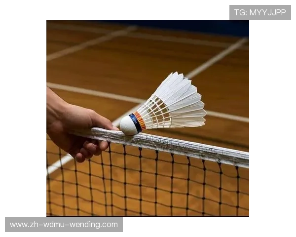 羽毛球球速普通